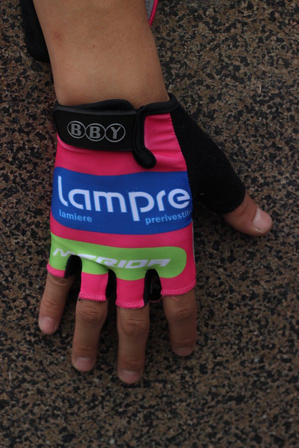 Hundschuhe Lampre 2014